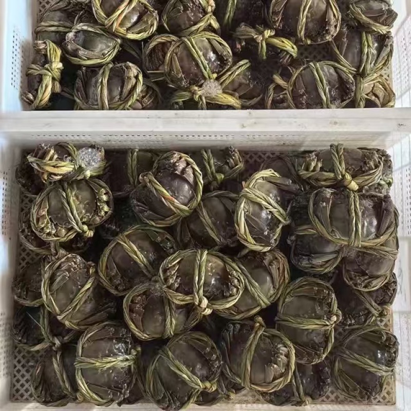 江苏兴化大闸蟹核心产区鲜活大闸蟹直供欢迎咨询看货