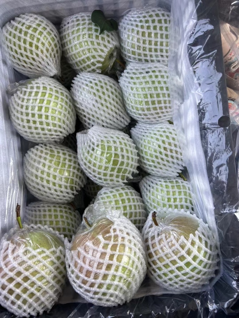 玉露香梨，山西运城产地直发，皮薄水份大，甜度高，供应量足