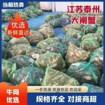 江苏泰州兴化大闸蟹规格齐全养殖基地货源充足