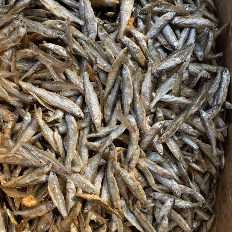 水煮白条精品白条鱼干，不苦鱼干十成干质量好味道好