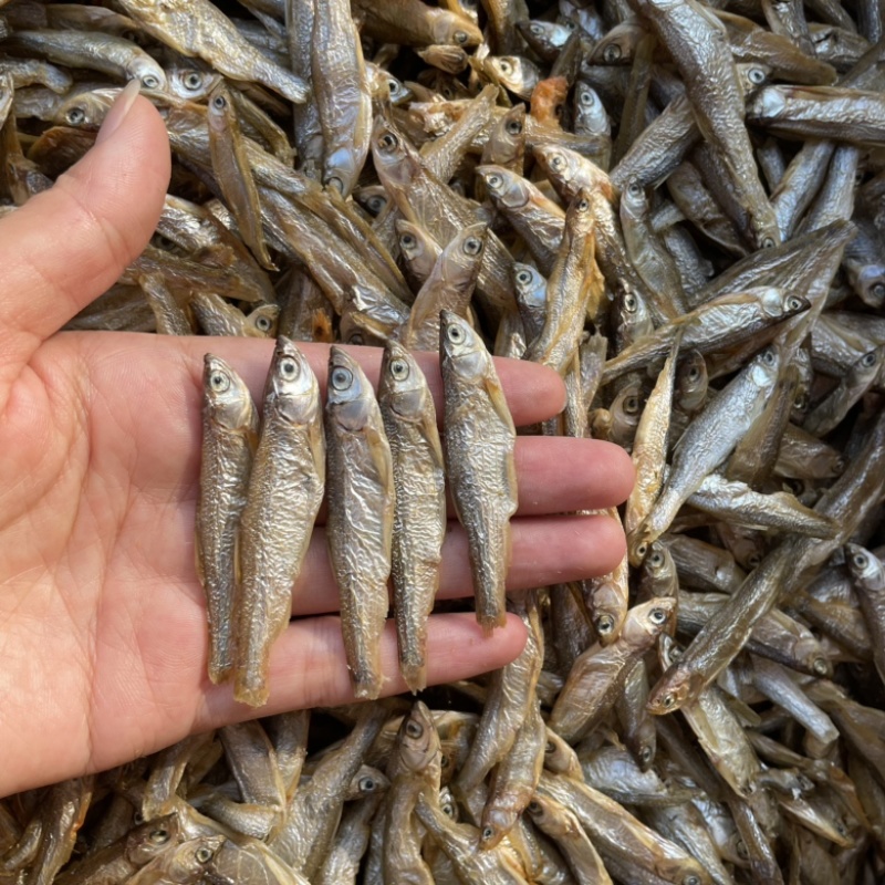 水煮白条精品白条鱼干，不苦鱼干十成干质量好味道好