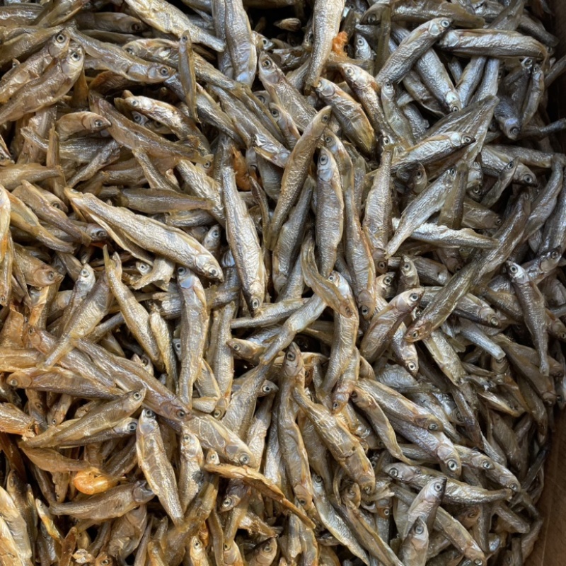水煮白条精品白条鱼干，不苦鱼干十成干质量好味道好