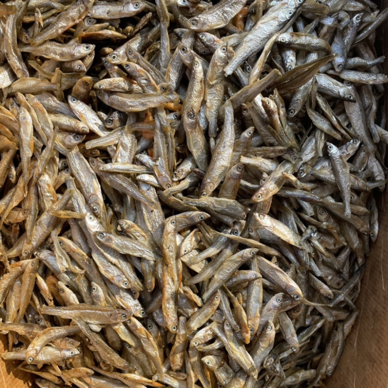 水煮白条精品白条鱼干，不苦鱼干十成干质量好味道好