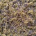 葛根花中药材500g葛藤花葛花茶干净精选花茶醒酒汤