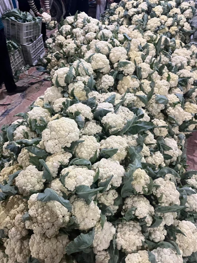 花菜大量现货要联系老板发财菜花大量入库开始了要联系