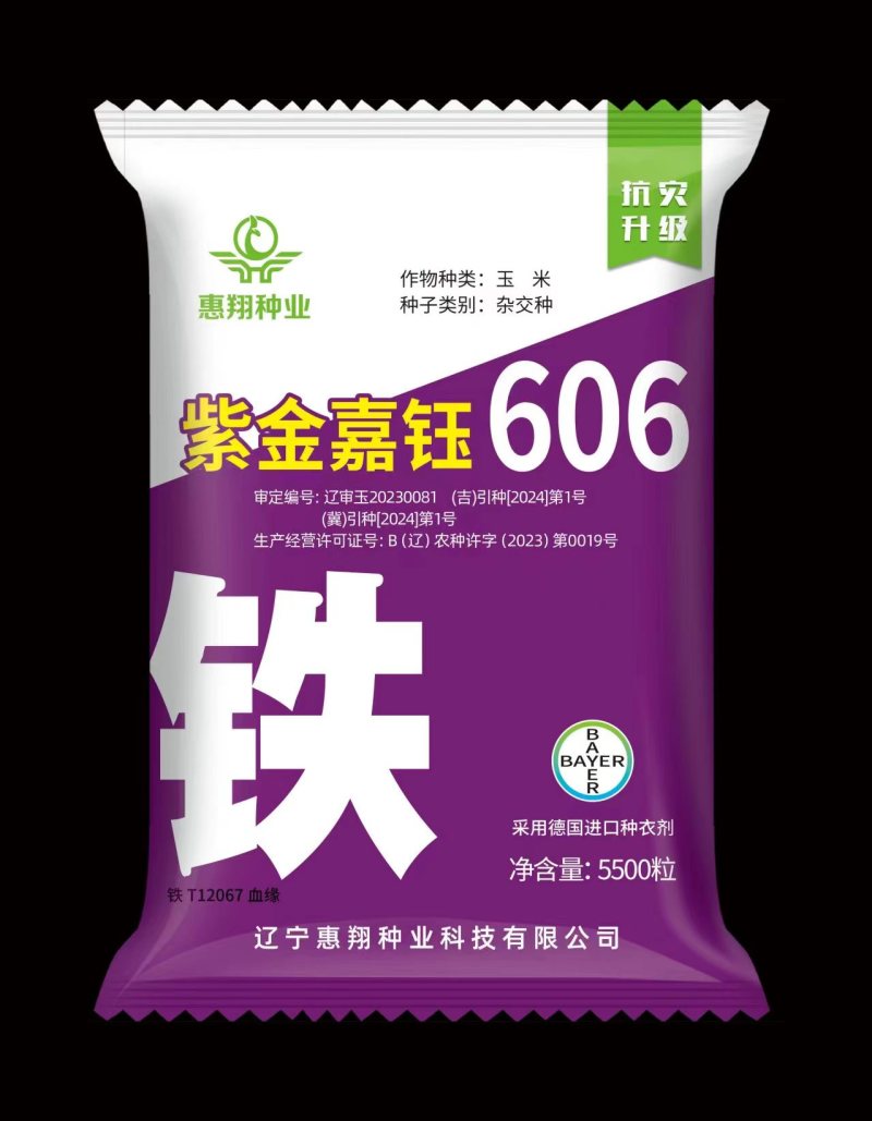 玉米种子铁606多年老店供货稳点欢迎长期合作