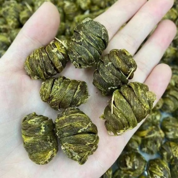 精选珍虫石斛