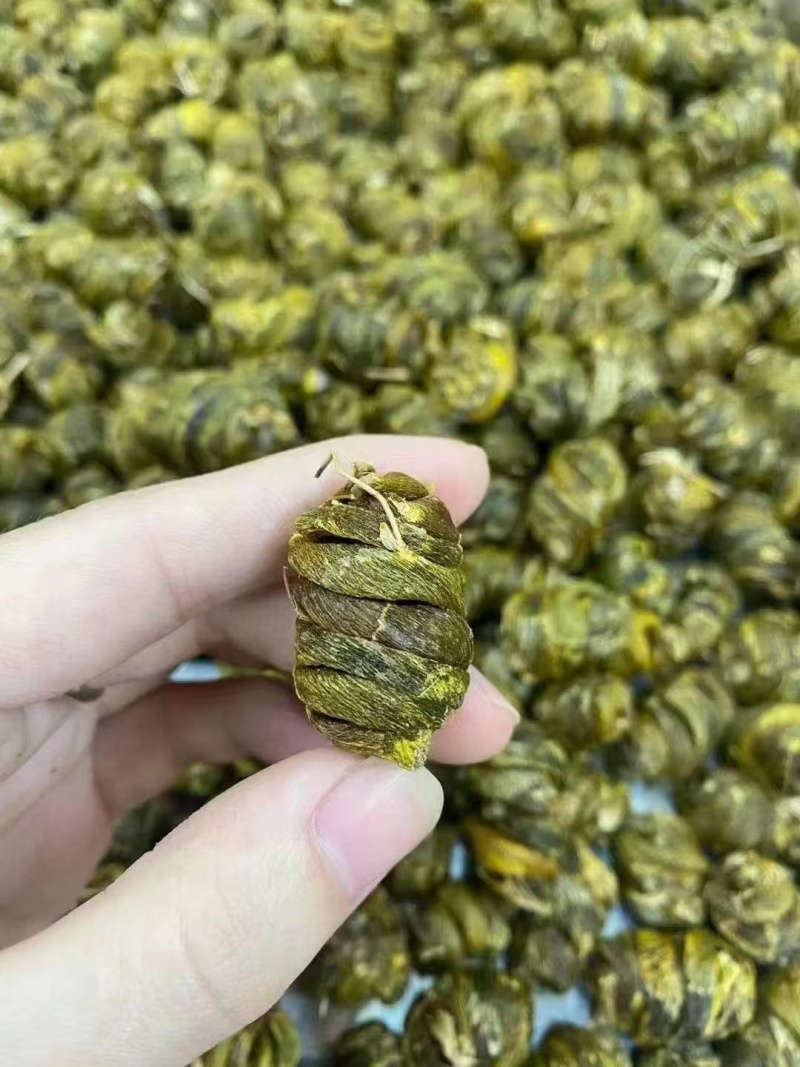 精选珍虫石斛