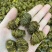 精选珍虫石斛