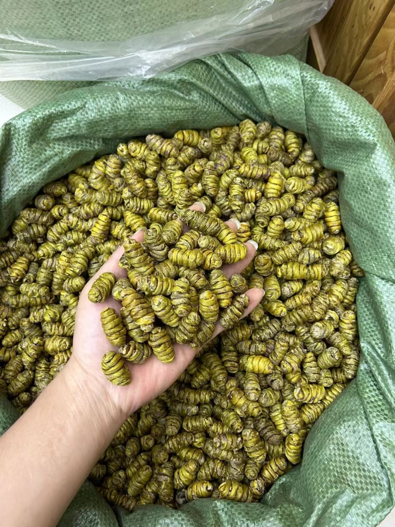 铁皮石斛（全化渣）