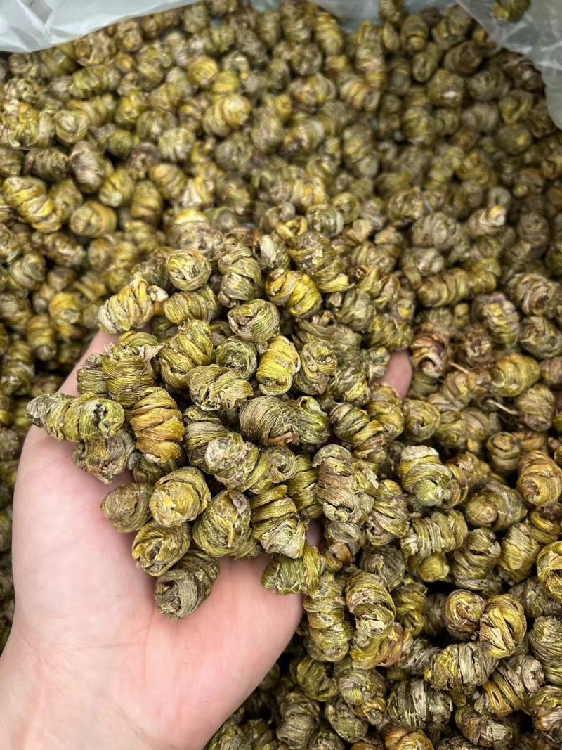 铁皮石斛（全化渣）