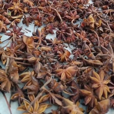 广西晒干大红八角