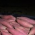 烟薯25蜜薯红薯烤地瓜专用批发零售软糯无丝50斤/