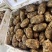 精选昭通小草坝新鲜天麻