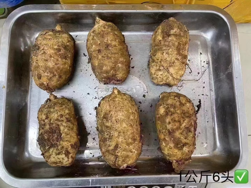 精选昭通小草坝新鲜天麻
