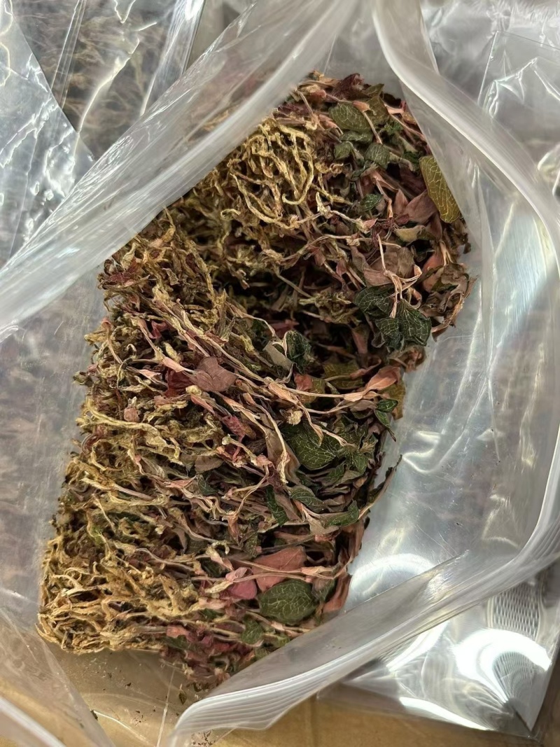 精品无碎金线莲