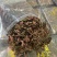 精品无碎金线莲