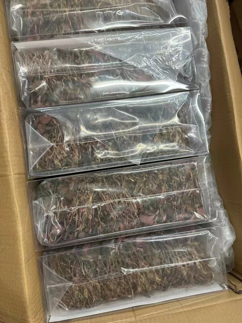 精品无碎金线莲