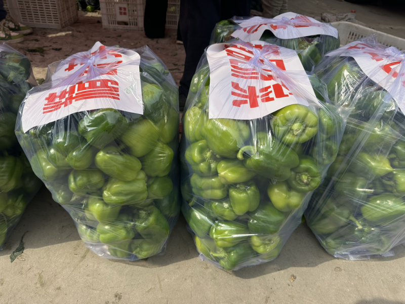《推荐》精品圆椒河北邯郸量大价优