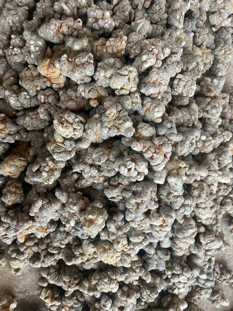 精选文山三七