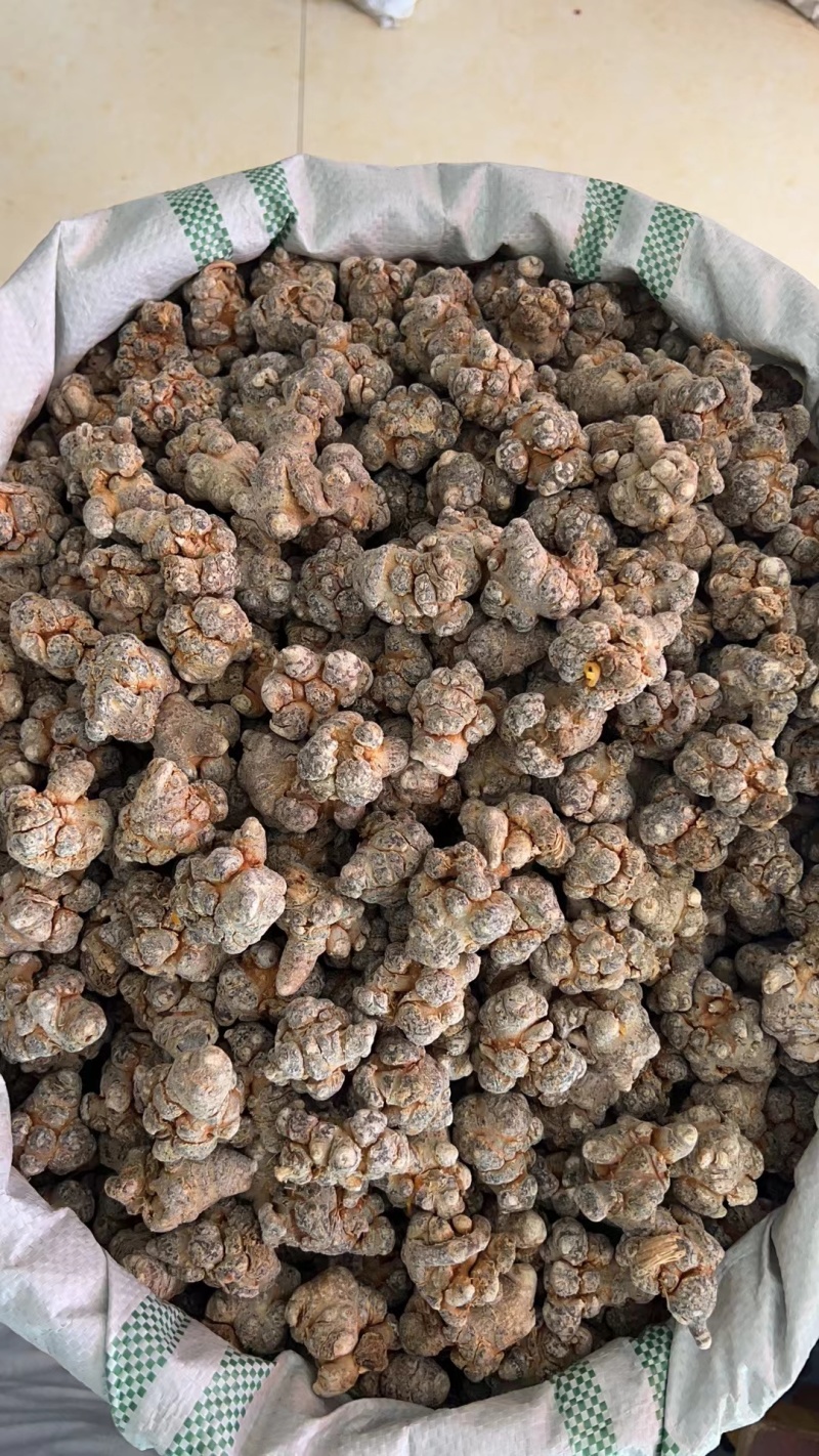 精选文山三七