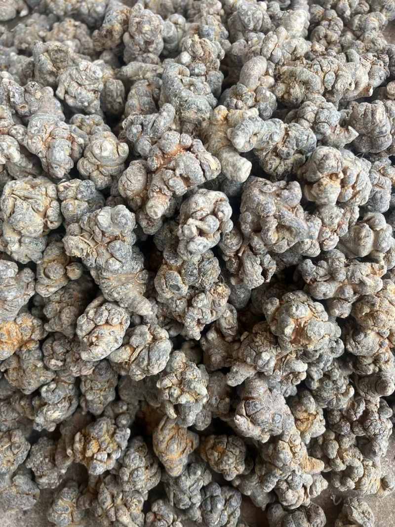 精选文山三七