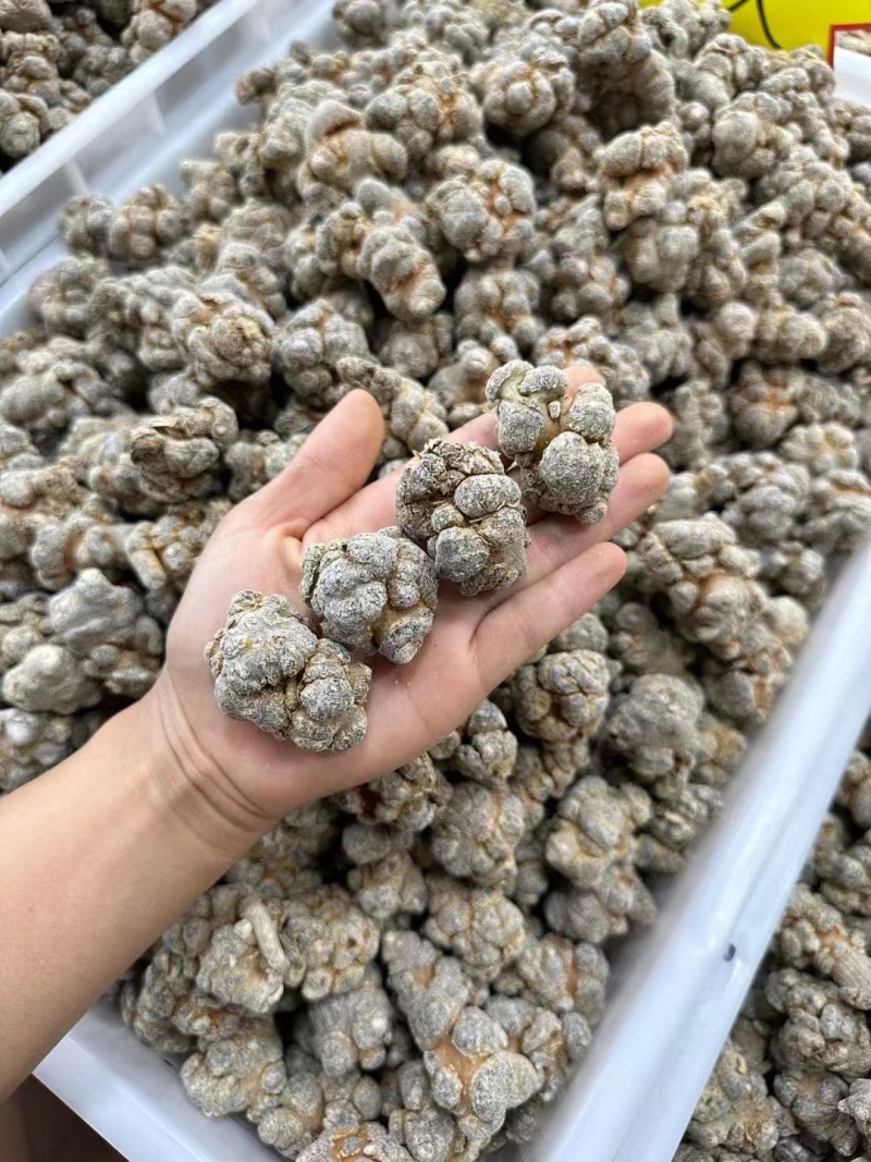 精选文山三七