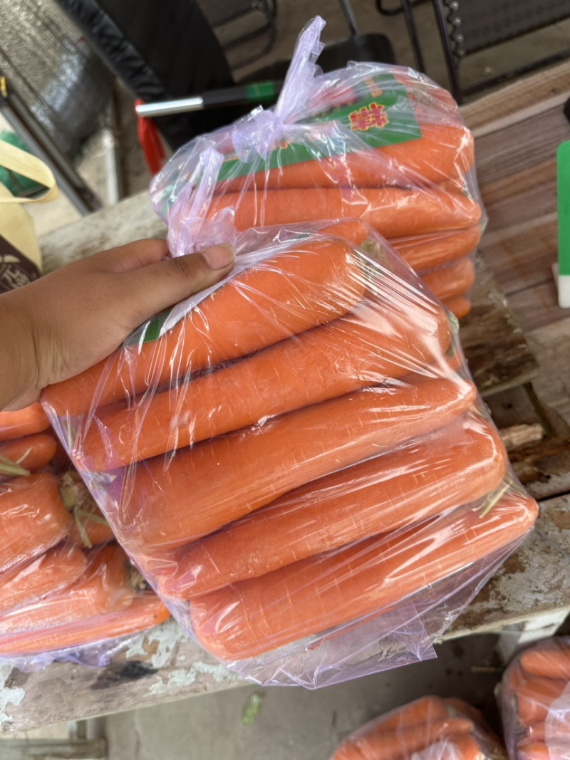 《推荐》河北邯郸精品红罗卜量大价优