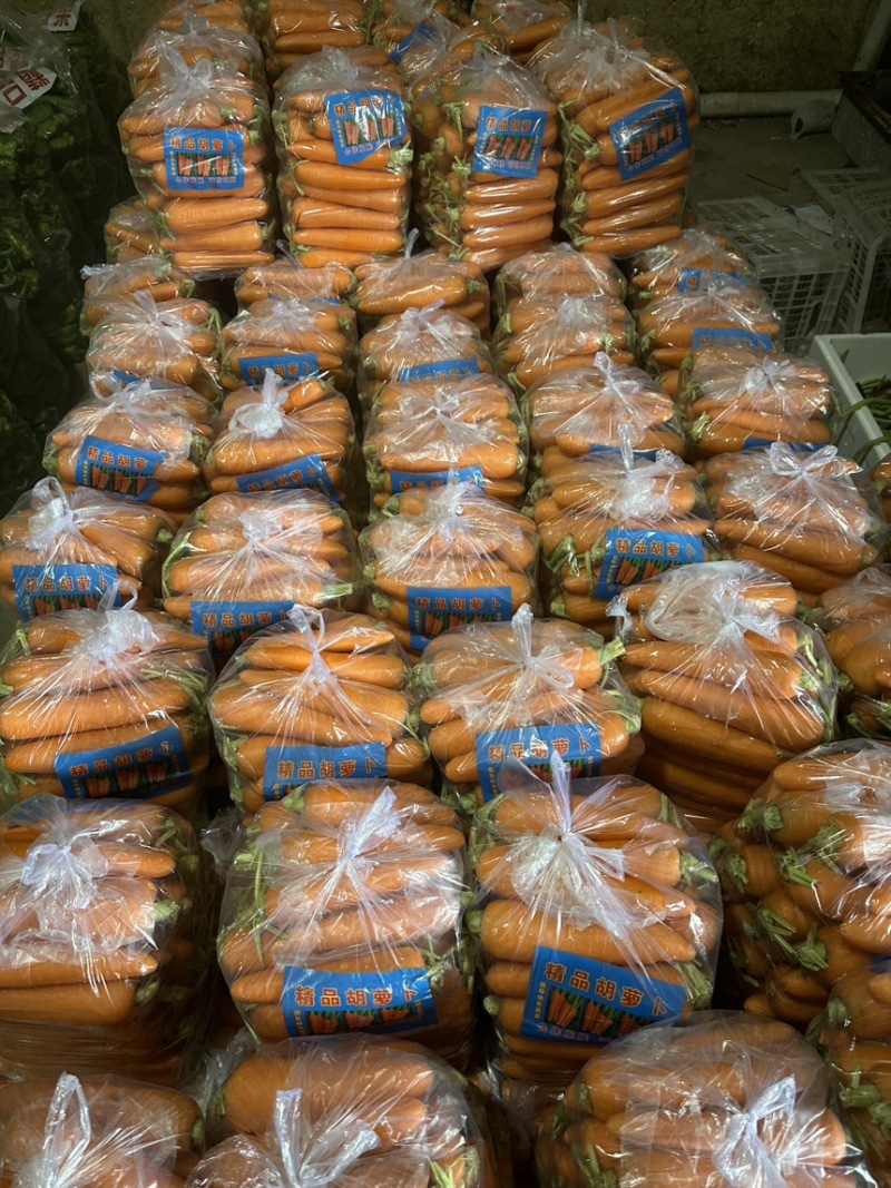 《推荐》河北邯郸精品红罗卜量大价优