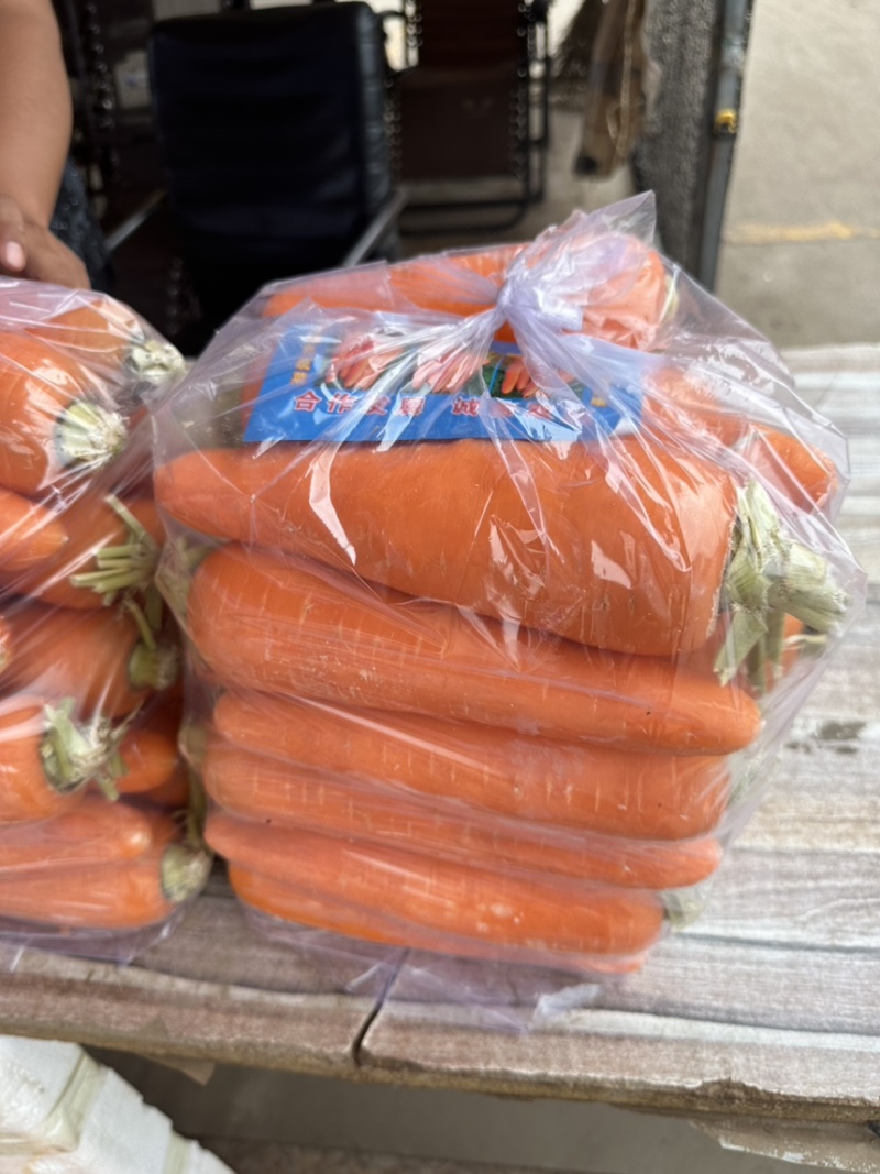 《推荐》河北邯郸精品红罗卜量大价优