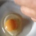 大型鸡蛋养殖场