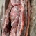 【热卖推荐】满肉大羊羊蝎子，物美质优，一手货源