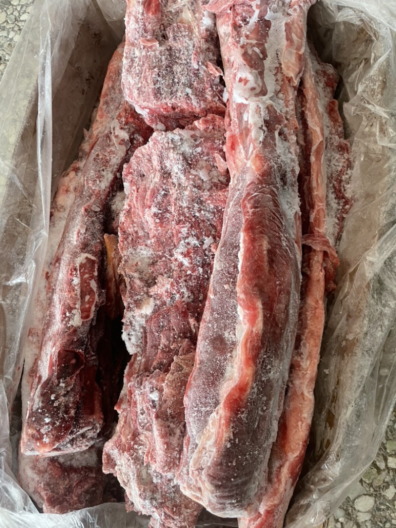 【热卖推荐】满肉大羊羊蝎子，物美质优，一手货源