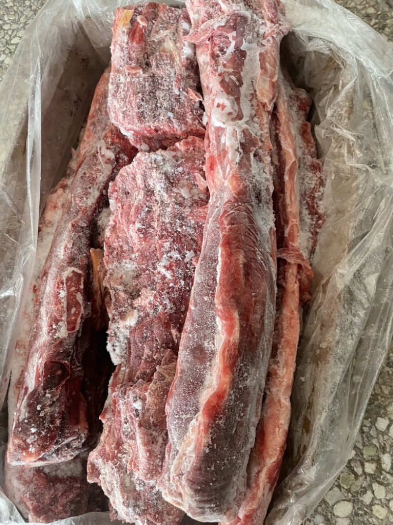 【热卖推荐】满肉大羊羊蝎子，物美质优，一手货源