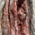 【热卖推荐】满肉大羊羊蝎子，物美质优，一手货源