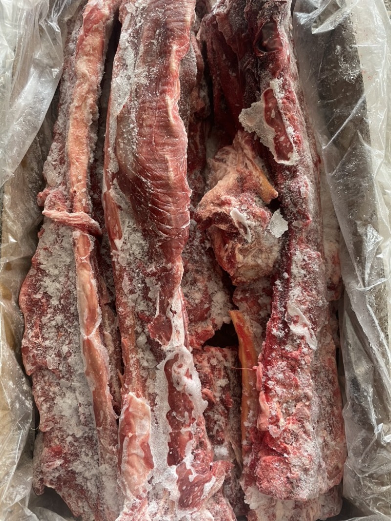 【热卖推荐】满肉大羊羊蝎子，物美质优，一手货源