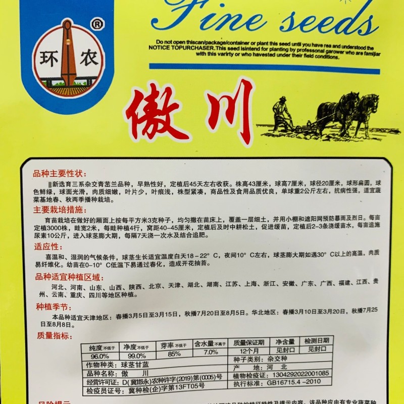 三系杂交青苤兰种子蔬菜基地春秋两季播种扁圆形苤蓝种子