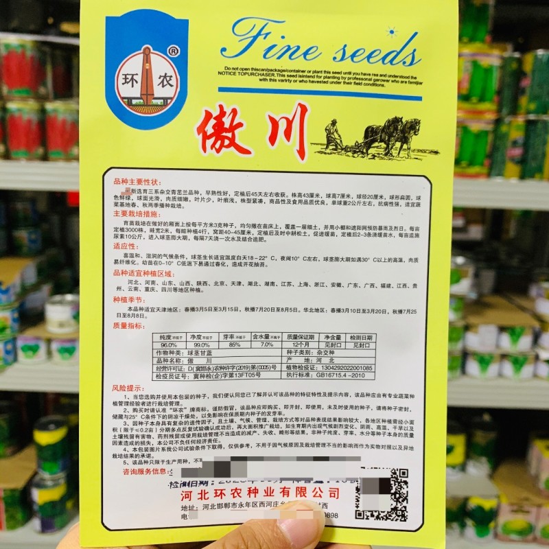 三系杂交青苤兰种子蔬菜基地春秋两季播种扁圆形苤蓝种子