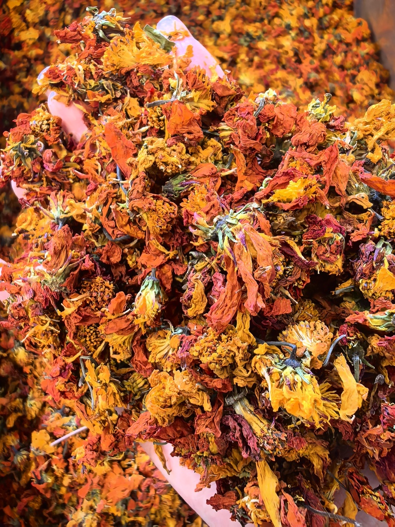 精选冰菊
