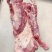 母猪三线肉，厂家直销量大从优欢迎来电咨询