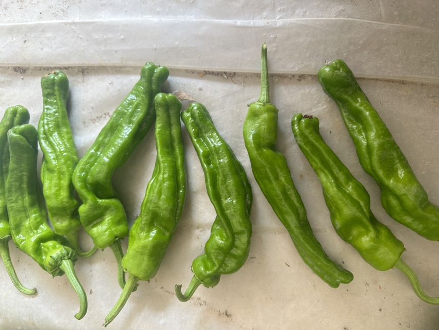 展示几颗新鲜的野山椒与一瓶清澈透明的泡椒水瓶装产品,背景为木质餐桌 泡椒与野山椒泡椒水特写