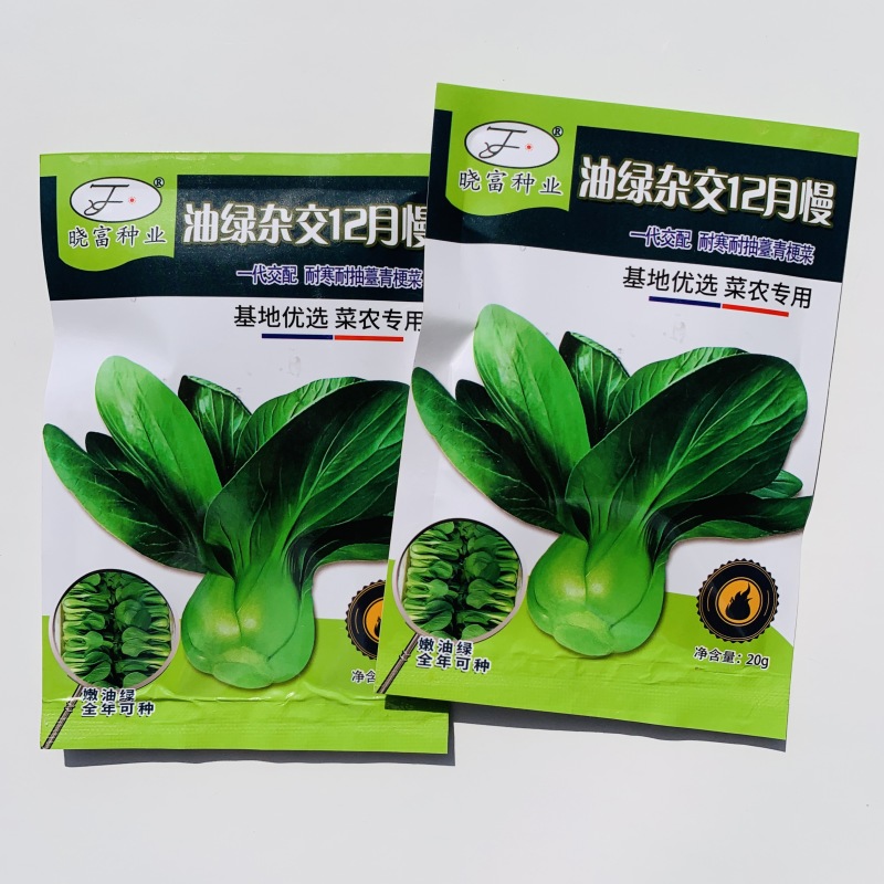 油绿杂交12月慢青菜种子耐寒耐抽苔青梗菜种籽四季小青菜籽