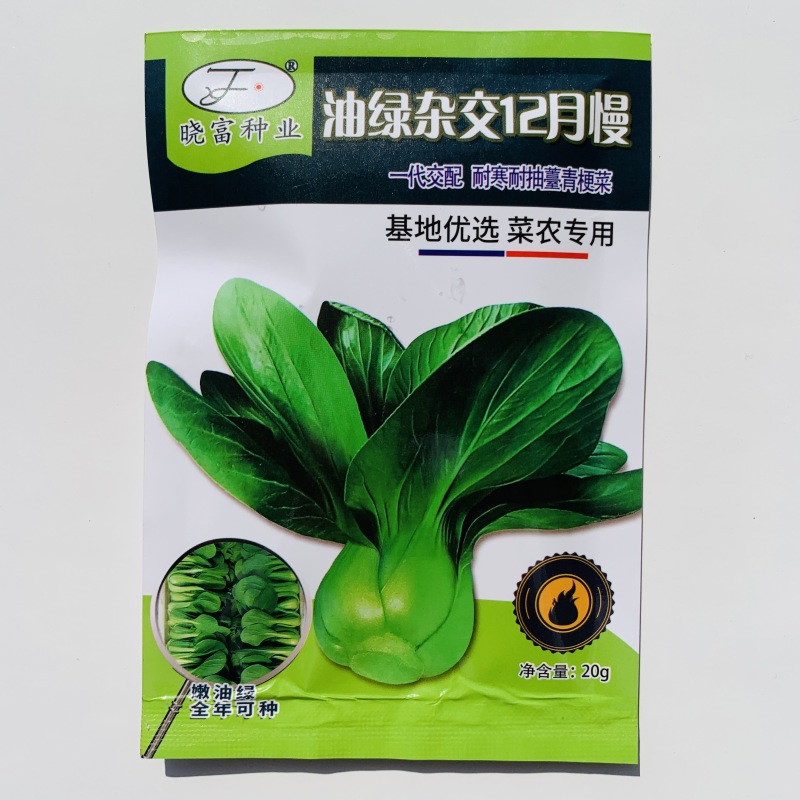 油绿杂交12月慢青菜种子耐寒耐抽苔青梗菜种籽四季小青菜籽