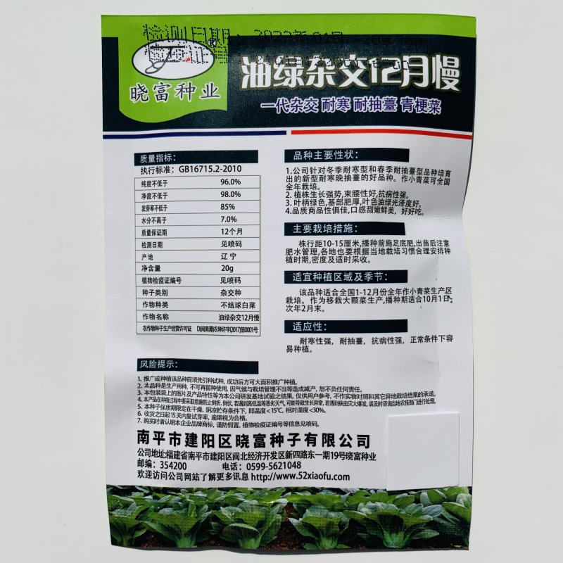 油绿杂交12月慢青菜种子耐寒耐抽苔青梗菜种籽四季小青菜籽