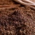 恩施高山富硒生态红茶量大质优价格优惠欢迎咨询采购
