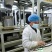 恩施高山富硒生态红茶量大质优价格优惠欢迎咨询采购