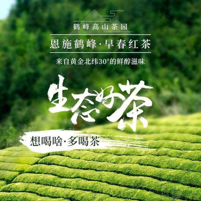 恩施高山富硒生态红茶量大质优价格优惠欢迎咨询采购