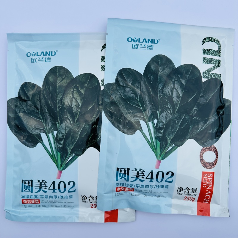 欧兰德耐寒菠菜种子圆美402高产杂交一代菠菜种籽春秋抗病