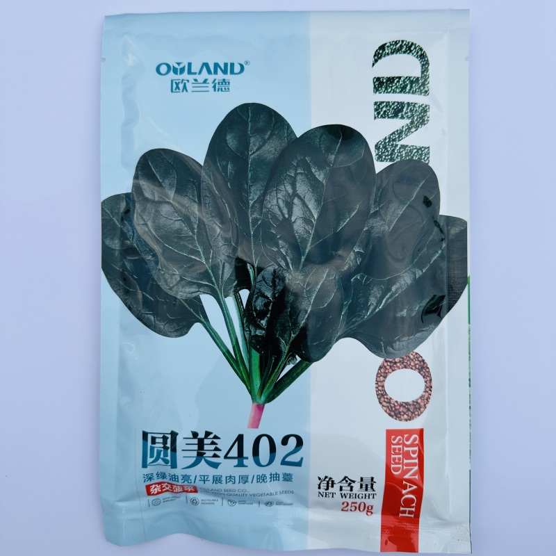 欧兰德耐寒菠菜种子圆美402高产杂交一代菠菜种籽春秋抗病
