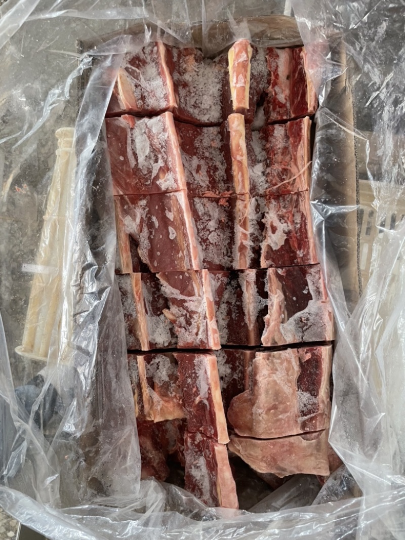 【热卖推荐】满肉大羊羊蝎子，物美质优，一手货源